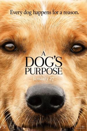 A Dog's Purpose Poster