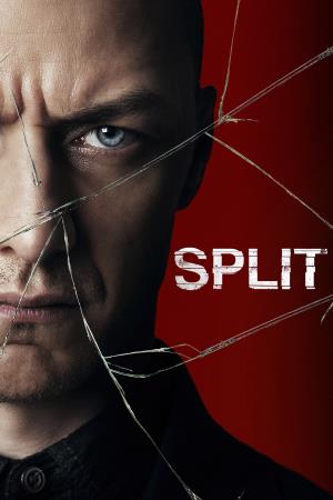 Split Poster