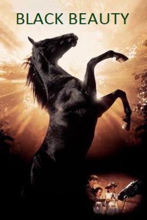 Black Beauty Poster