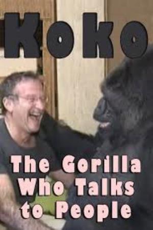 Koko: The Gorilla Who Talks To People Poster