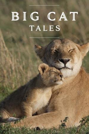 Big Cat Tales Poster