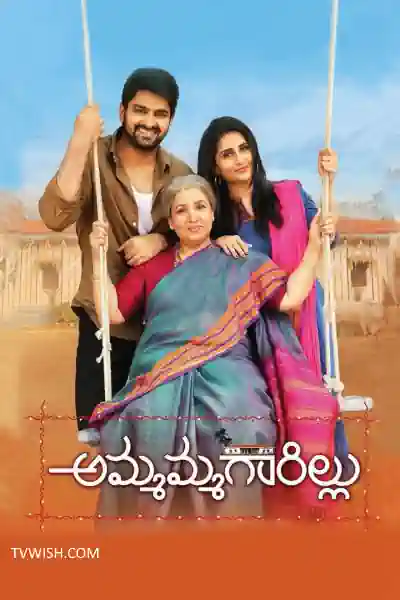 Naani Maa Poster