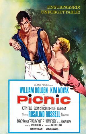 Picnic Poster