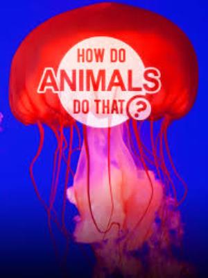 How Do Animals Do That? Poster