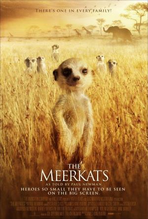 The Meerkats Poster