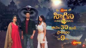 Naagin 4 Poster