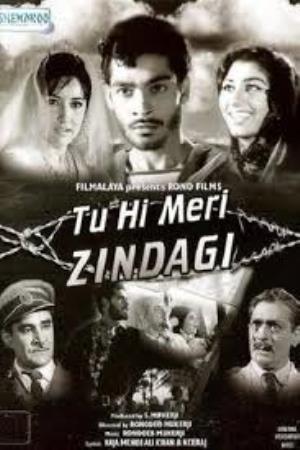 Tu Hi Meri Zindagi Poster