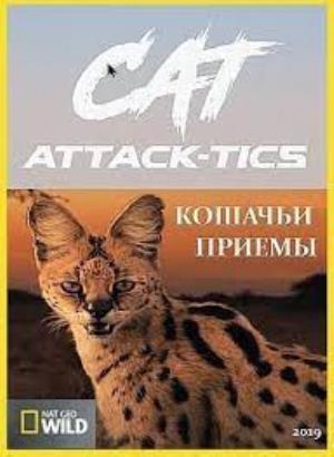 Cat Attack-Tics Poster