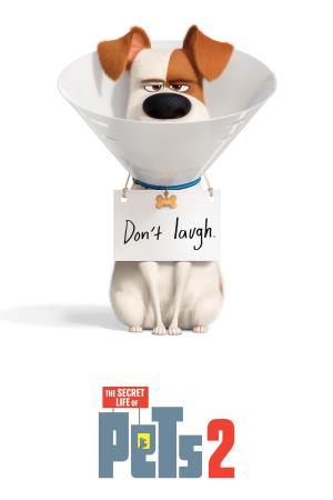 The Secret Life Of Pets 2 Poster