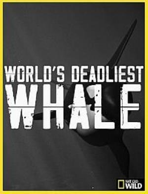 World's Deadliest Whale Poster