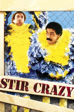 Stir Crazy Poster