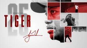 25 Years Of Tiger Poster