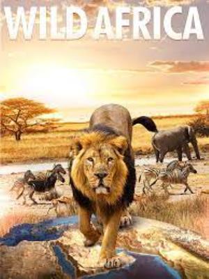 Africa: Our Wild Adventures Poster