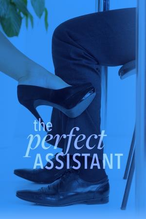 The Perfect Assistant Poster