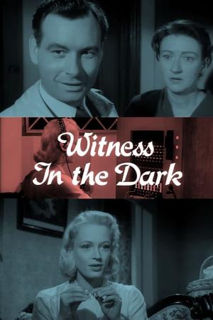 Witness In The Dark Poster