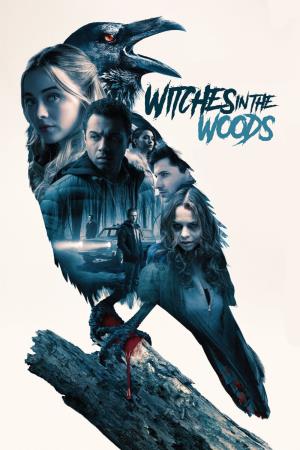 Witches In The Woods Poster