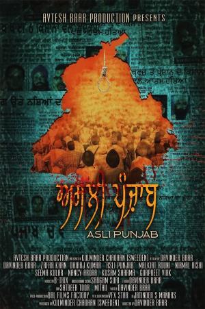 Asli Punjab Poster