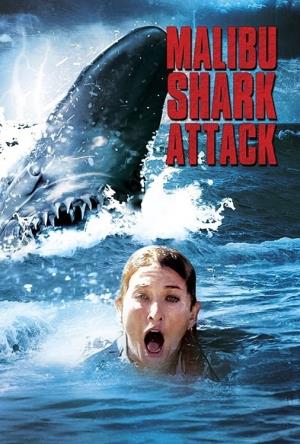 Malibu Shark Attack Poster