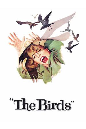 The Birds Poster