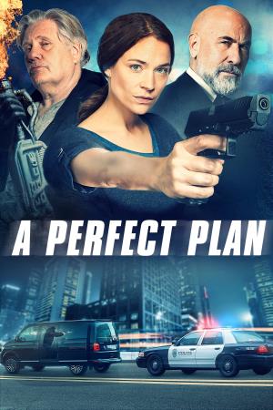 Perfect Plan Poster