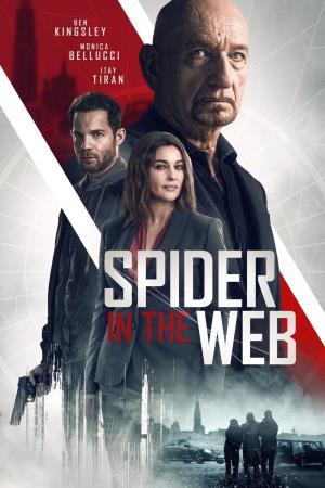 Spider in the Web Poster