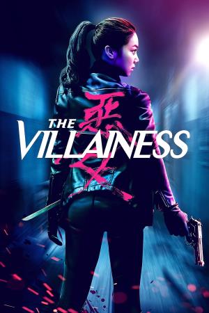  The Villainess Poster