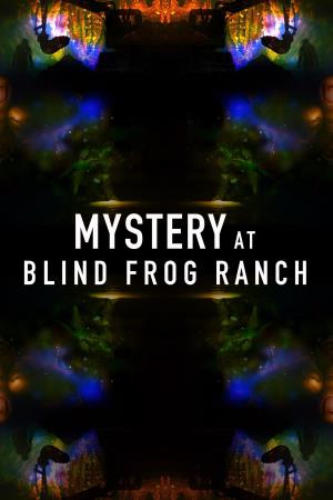 Mystery At Blind Frog Ranch Poster