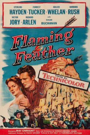 Flaming Feather Poster