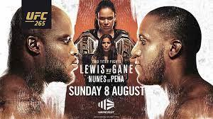 UFC 265 Poster