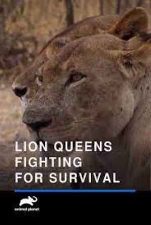 Lion Queens: Fighting For Survival Poster