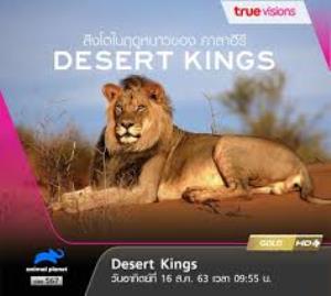 Desert Kings Poster