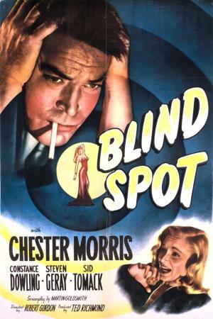 Blind Spot Poster