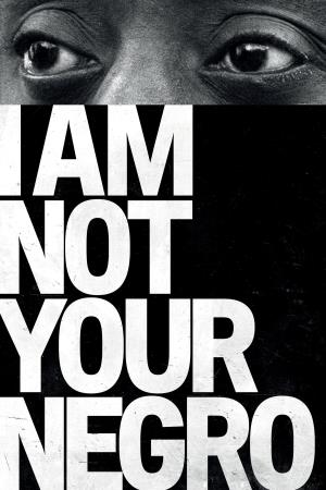 I Am Not Your Negro Poster