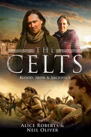 The Celts: Blood, Iron, and Sacrifice Poster