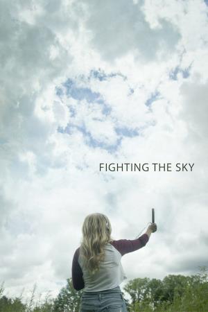 Fighting In The Sky Poster