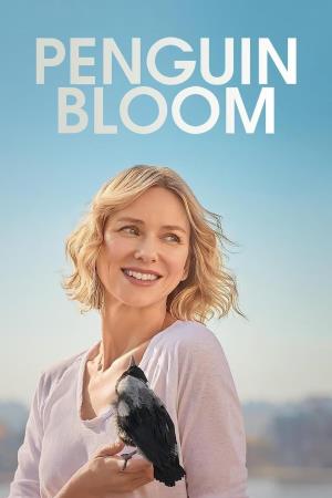  BLOOM Poster