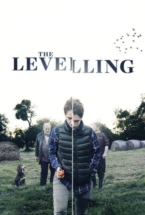 The Levelling Poster