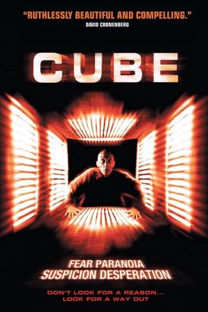 Cube Poster