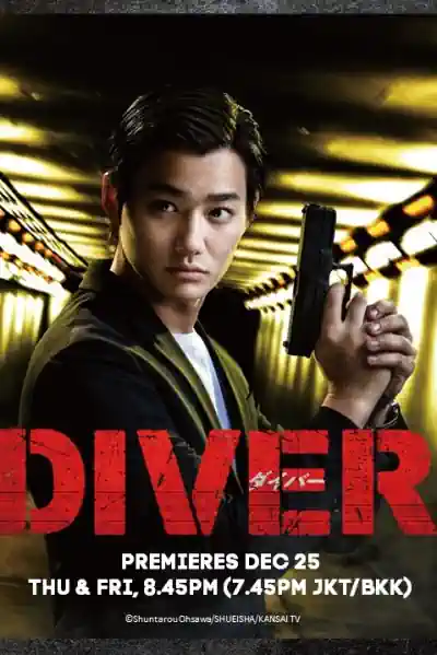 DIVER -SPECIAL INVESTIGATION UNIT Poster