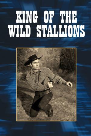 King of the Wild Stallions Poster