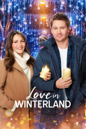 Love In Winterland Poster