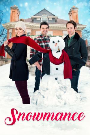 Un amore nella neve Poster