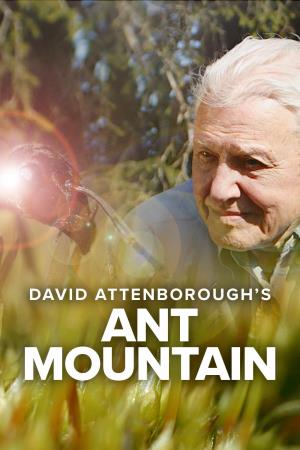 David Attenborough's... Poster