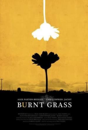 Burnt Grass Poster