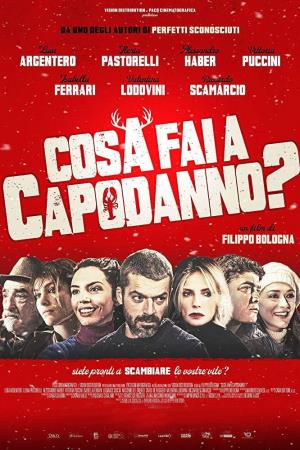 Cosa fai a capodanno? Poster