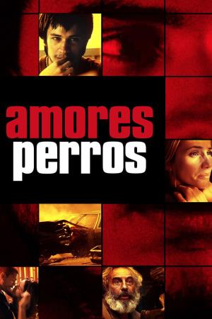 Amores Perros Poster