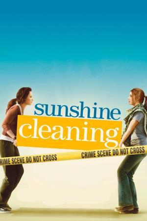 Sunshine Cleaning Poster