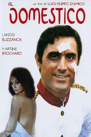 Il domestico Poster