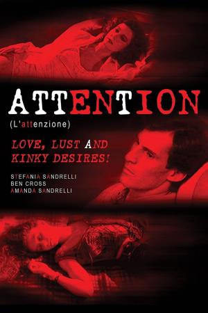 L'attenzione Poster