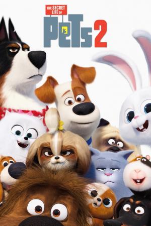 Secret Life Of Pets Poster